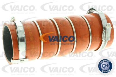 V420615 VAICO Трубка нагнетаемого воздуха