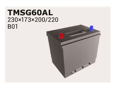TMSG60AL IPSA Стартерная аккумуляторная батарея
