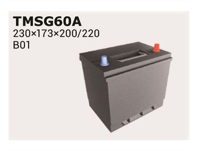 TMSG65A IPSA Стартерная аккумуляторная батарея
