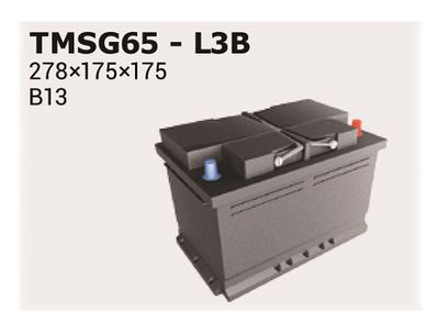 TMSG65 IPSA Стартерная аккумуляторная батарея