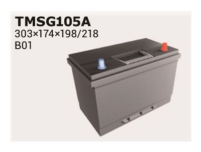 TMSG105A IPSA Стартерная аккумуляторная батарея