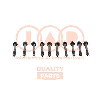 11924010 IAP QUALITY PARTS Комплект болтов головки цилидра