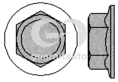 7005011010 GUARNITAUTO Комплект болтов головки цилидра