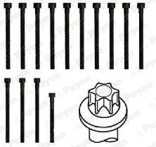HBS468 PAYEN Комплект болтов головки цилидра