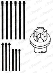 HBS467 PAYEN Комплект болтов головки цилидра