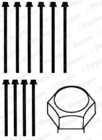 HBS279 PAYEN Комплект болтов головки цилидра