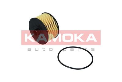 F116501 KAMOKA Масляный фильтр