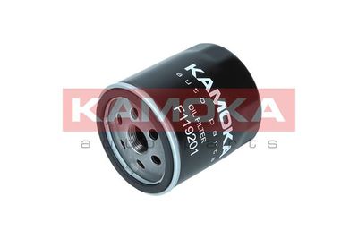 F119201 KAMOKA Масляный фильтр