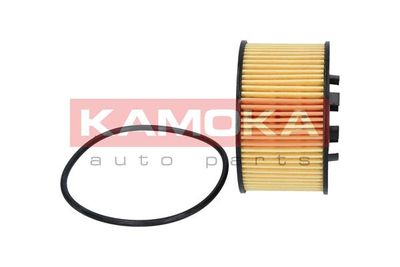 F103001 KAMOKA Масляный фильтр