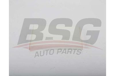 BSG40145023 BSG Фильтр, воздух во внутренном пространстве