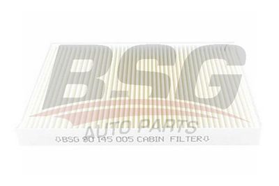 BSG90145005 BSG Фильтр, воздух во внутренном пространстве