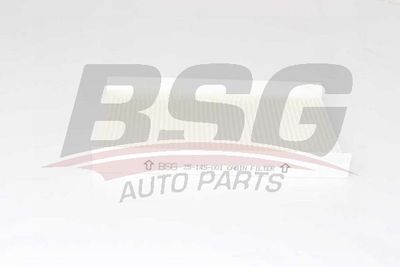 BSG25145001 BSG Фильтр, воздух во внутренном пространстве