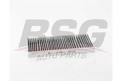 BSG30145009 BSG Фильтр, воздух во внутренном пространстве