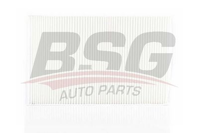 BSG90145007 BSG Фильтр, воздух во внутренном пространстве