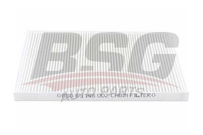 BSG65145002 BSG Фильтр, воздух во внутренном пространстве