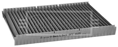 BFC1025 BORG & BECK Фильтр, воздух во внутренном пространстве