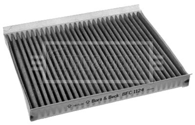 BFC1124 BORG & BECK Фильтр, воздух во внутренном пространстве