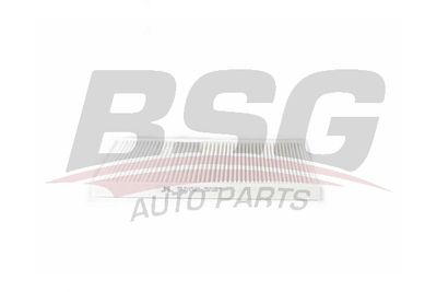 BSG40145014 BSG Фильтр, воздух во внутренном пространстве