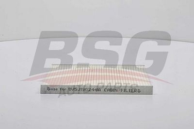 BSG30145008 BSG Фильтр, воздух во внутренном пространстве