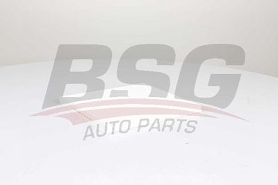 BSG40145019 BSG Фильтр, воздух во внутренном пространстве