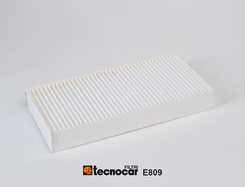 E809 TECNOCAR Фильтр, воздух во внутренном пространстве