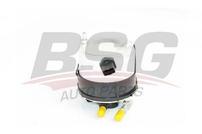 BSG30130015 BSG Топливный фильтр