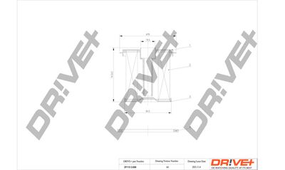 DP1110130099 Dr!ve+ Топливный фильтр