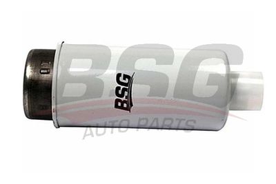 BSG30130010 BSG Топливный фильтр