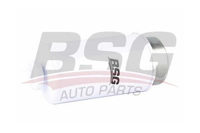 BSG30130011 BSG Топливный фильтр