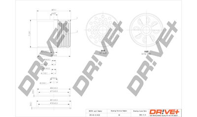 DP1110130132 Dr!ve+ Топливный фильтр