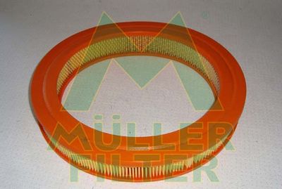 PA254 MULLER FILTER Воздушный фильтр
