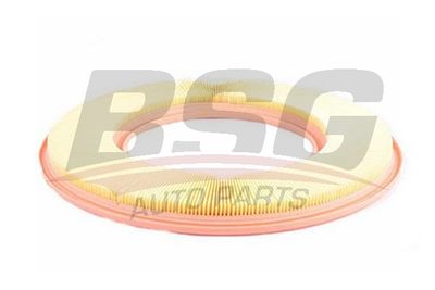 BSG60135015 BSG Воздушный фильтр