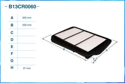 B13CR0060 CWORKS Воздушный фильтр