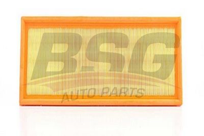 BSG90135005 BSG Воздушный фильтр