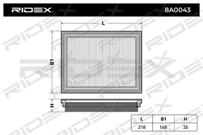 8A0043 RIDEX Воздушный фильтр