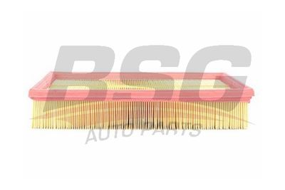 BSG30135002 BSG Воздушный фильтр