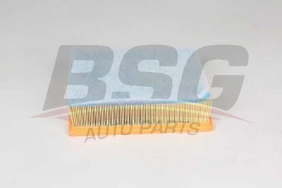 BSG75135024 BSG Воздушный фильтр