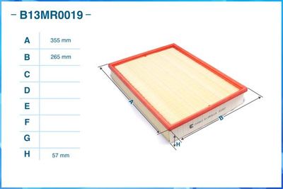B13MR0019 CWORKS Воздушный фильтр