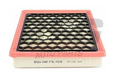 BSG65135021 BSG Воздушный фильтр