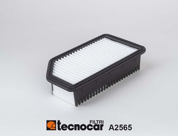 A2565 TECNOCAR Воздушный фильтр