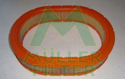 PA252 MULLER FILTER Воздушный фильтр