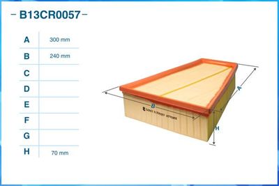 B13CR0057 CWORKS Воздушный фильтр