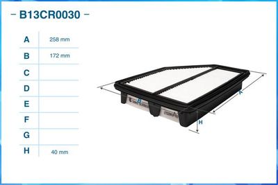 B13CR0030 CWORKS Воздушный фильтр