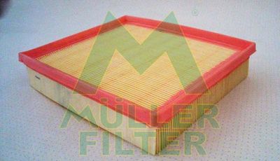 PA3100 MULLER FILTER Воздушный фильтр
