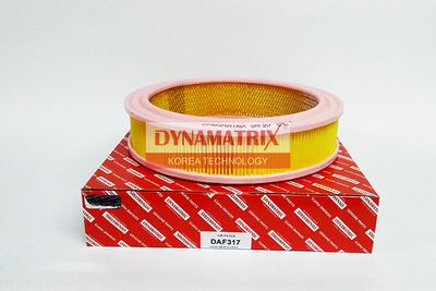 DAF317 DYNAMATRIX Воздушный фильтр