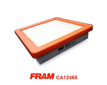 CA12465 FRAM Воздушный фильтр