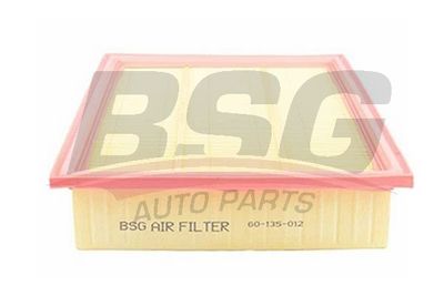 BSG60135012 BSG Воздушный фильтр