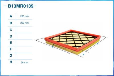 B13MR0139 CWORKS Воздушный фильтр