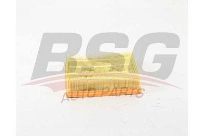 BSG15135018 BSG Воздушный фильтр