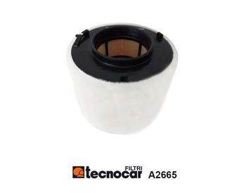 A2665 TECNOCAR Воздушный фильтр